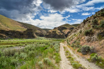 Картинка природа дороги простор