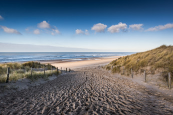 Картинка природа побережье простор