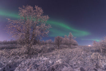 Картинка природа зима простор