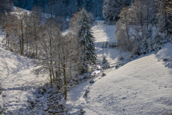 Картинка природа зима простор