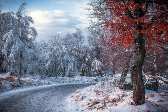 Картинка природа зима простор