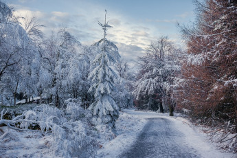 Картинка природа зима простор