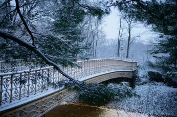 Картинка природа дороги простор