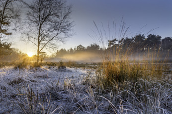 Картинка природа восходы закаты простор