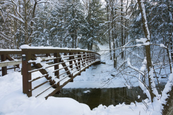 Картинка природа зима простор