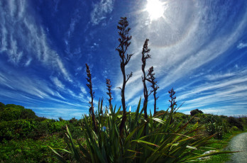 Картинка природа пейзажи простор