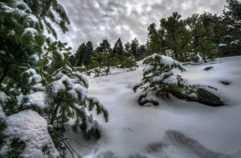 Картинка природа зима простор