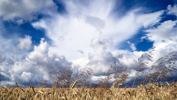 Картинка природа облака простор