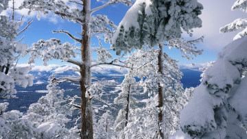 Картинка природа зима простор