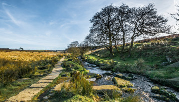 Картинка природа дороги простор