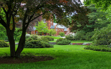 Картинка города -+здания +дома лужайка дом клумбы