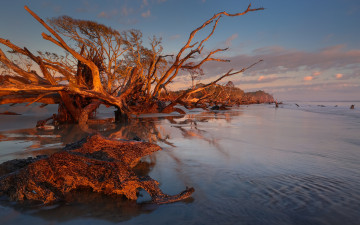 Картинка природа реки озера простор