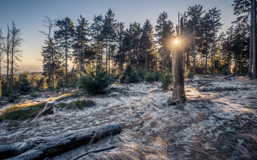 Картинка природа зима простор