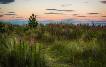 Картинка природа пейзажи простор