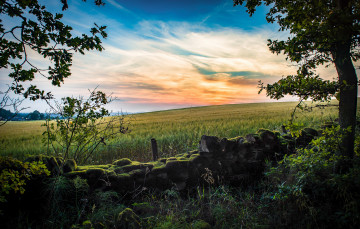 Картинка природа пейзажи простор