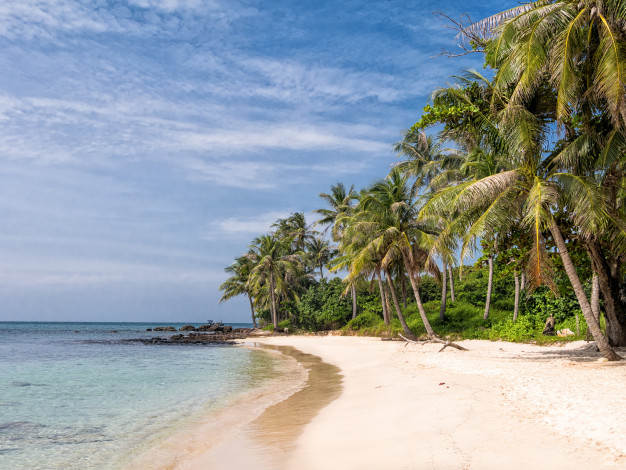 Обои картинки фото природа, тропики, простор