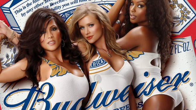 Обои картинки фото бренды, budweiser, пиво