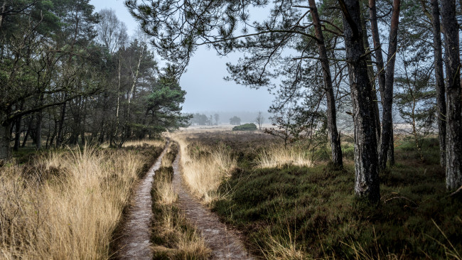 Обои картинки фото природа, дороги, простор