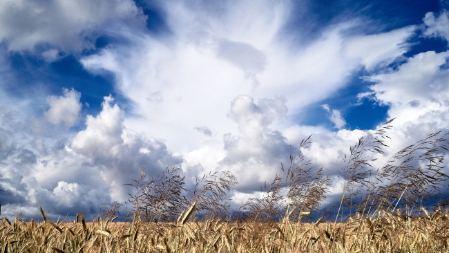 Обои картинки фото природа, облака, простор