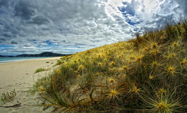 Обои картинки фото природа, побережье, простор