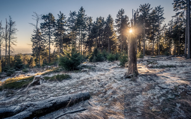 Обои картинки фото природа, зима, простор