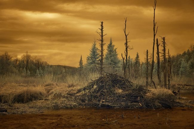 Обои картинки фото природа, пейзажи, простор