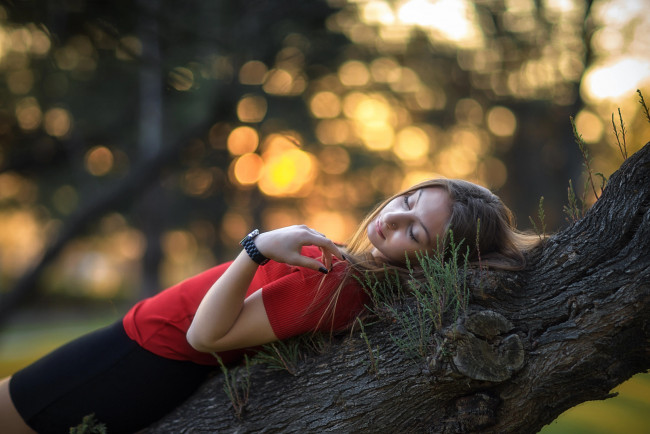 Обои картинки фото девушка, девушки, -unsort , брюнетки, темноволосые, модель