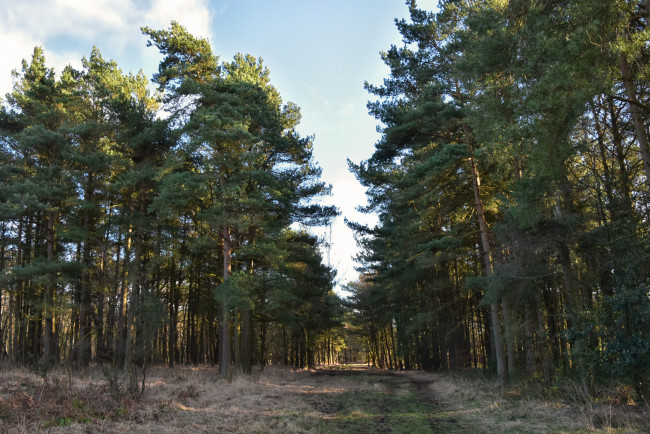 Обои картинки фото природа, дороги, простор