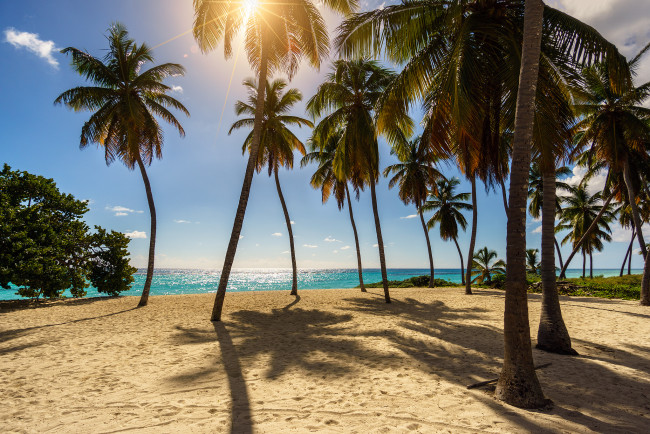 Обои картинки фото природа, тропики, простор