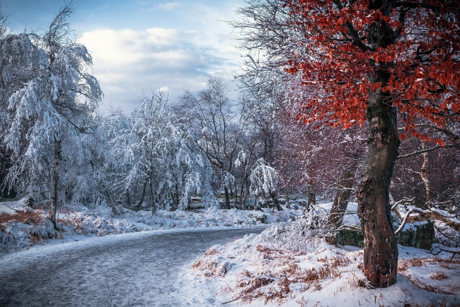 Обои картинки фото природа, зима, простор