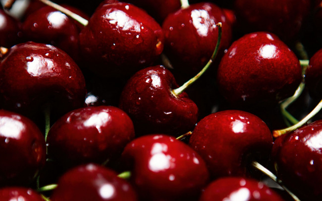 Обои картинки фото еда, вишня,  черешня, черешня