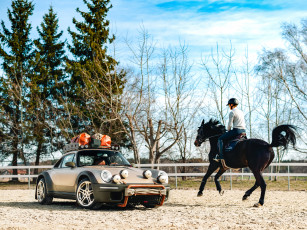 Картинка автомобили porsche ruf