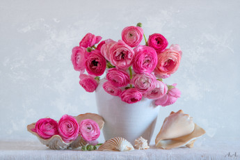 обоя цветы, люпин, лютик, ваза, букет, ракушки