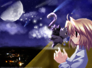 Картинка аниме tsukihime