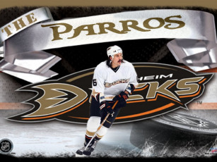 Картинка спорт nhl