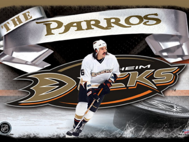 Обои картинки фото спорт, nhl