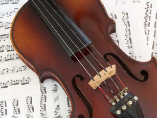 Картинка музыка музыкальные инструменты скрипка