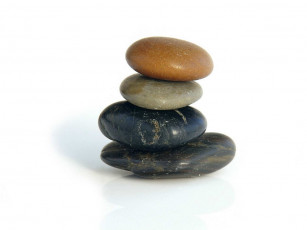 Картинка разное ракушки кораллы декоративные spa камни