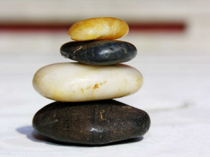 Картинка разное ракушки кораллы декоративные spa камни