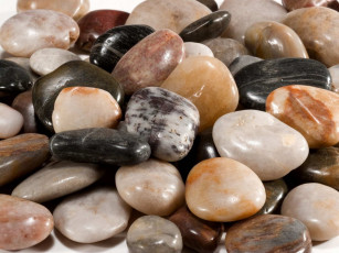 Картинка разное ракушки кораллы декоративные spa камни