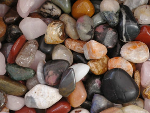 Картинка разное ракушки кораллы декоративные spa камни