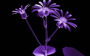 Картинка 3д графика flowers цветы