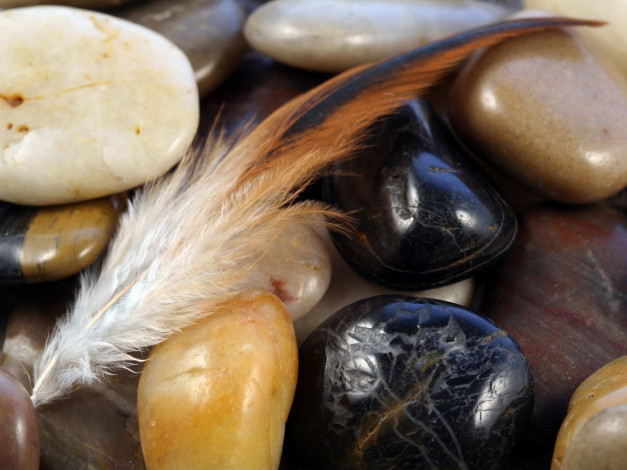 Обои картинки фото разное, ракушки, кораллы, декоративные, spa, камни