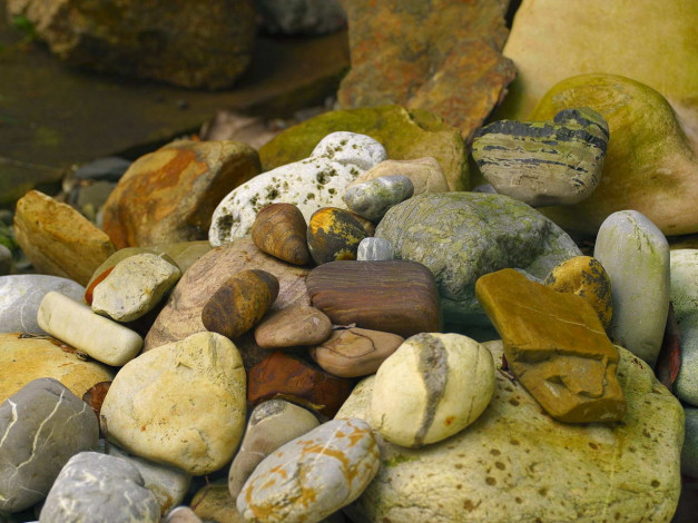 Обои картинки фото разное, ракушки, кораллы, декоративные, spa, камни