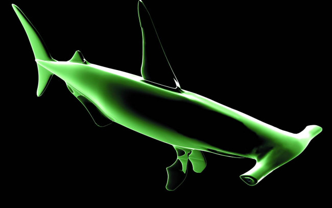 Обои картинки фото 3д, графика, animals, животные