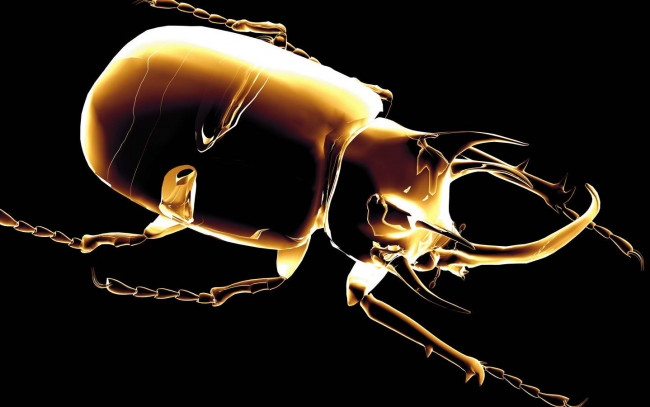 Обои картинки фото 3д, графика, animals, животные