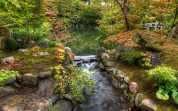 Картинка природа парк