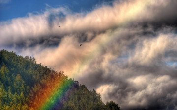 Картинка природа радуга