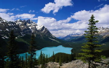 Картинка природа реки озера