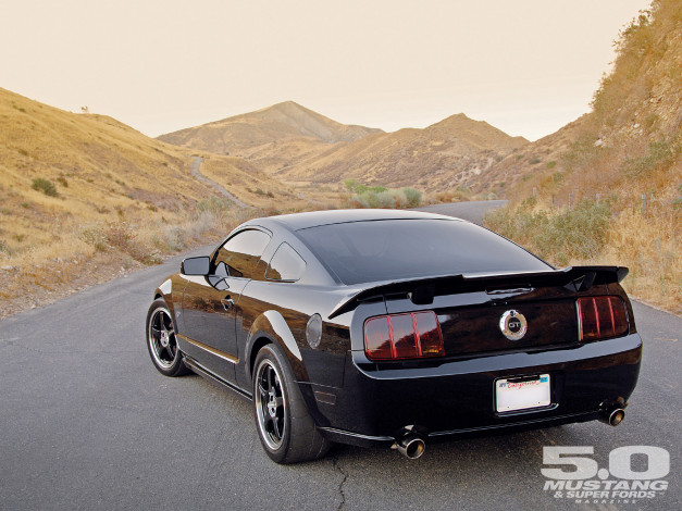 Обои картинки фото автомобили, mustang